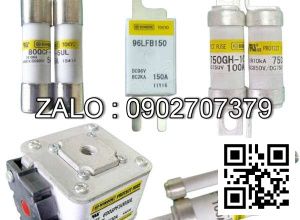 Cầu chì NH00GG50V160