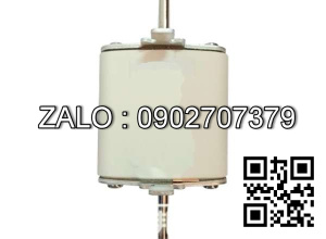 Cầu chì sứ RGS34, 600A-500VAC