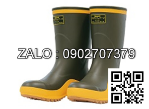 Ủng chống hóa chất Daeshin