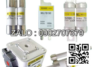 Cầu chì 100A-150V