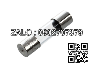 Fuse 2A250V phi 5x20mm Cau chi ong thuy tinh 2A/250V phi 5*20mm