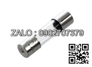 Fuse 5A220V phi 6x30mm Cau chi ong thuy tinh 5A/220V phi 6*30mm