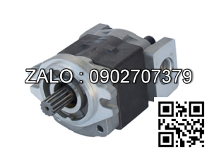 Bơm thủy lực DVP1-12-55