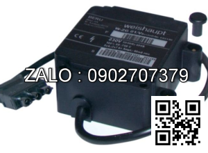 Biến thế đánh lửa W-ZG02