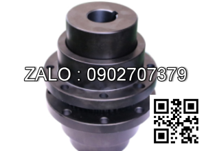 Khớp nối răng GIICL 4