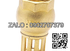 Luppe đồng DN80, PN12