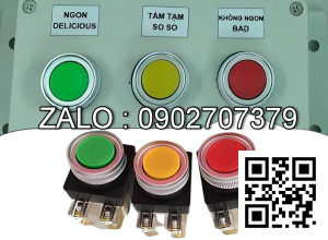 Nút nhấn CR301-1-Y, phi 30 kiểu tự hồi 1NO+1NC