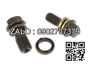 Ốc dầu M12x22 kèm long đền dầu