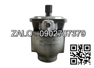 Bơm thủy lực xe nâng P20300C