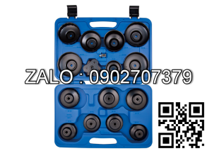 Bộ cảo lược nhớt Kingtony 9AE2016