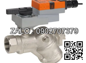 Van bi thau lắp ren trong 3 ngã DN100