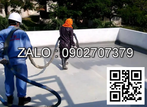 Chống thắm nhà bảo vệ cổng sau 5.0 x 9.0 mét