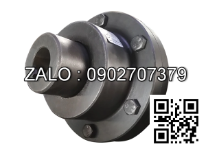 Khớp nối GIICL2 Y25x52/J1 40x84