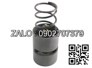 Van nhiệt 2901145500