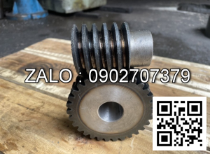 Bánh vít máy tiện phi 133 m=3, Z48