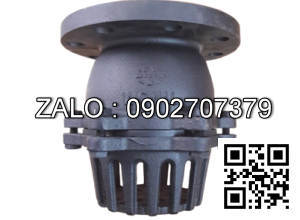 Luppe mặt bích gang DN125