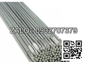 Que hàn sắt Tig T50-2.0