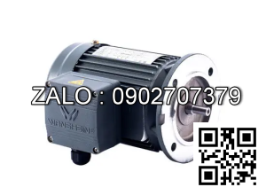 Motor giảm tốc 3 pha mặt bích Wanshsin GV50-2200W-180S