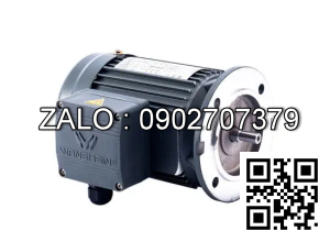 Motor giảm tốc 3 pha mặt bích Wanshsin GV40-1500W-30S