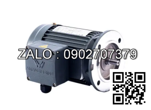 Motor giảm tốc 3 pha mặt bích Wanshsin GV32-750W-100S