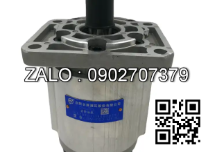 Bơm thủy lực CBN-F318-FHR