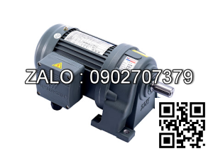 Motor giảm tốc 3 pha chân đế Wanshsin GH40-2200W-60S