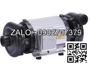 Máy bơm nước giếng 2 đầu Tân Hoàn Cầu ABC-1500