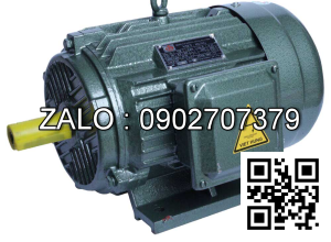 MOTOR 2 DÂY TECO 160KW - 215HP
