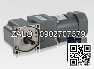 Motor giảm tốc mini Wanshsin 100YT200GV22 200W 1 Pha 220V