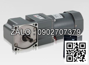 Motor giảm tốc mini Wanshsin 100YS180GV22 180W 1 Pha 220V