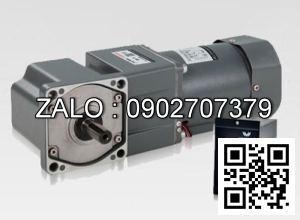 Motor giảm tốc mini Wanshsin 100YS160DV22 160W 1 Pha 220V