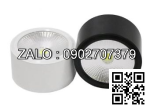 Đèn led downlight lắp nổi GAIA - NSDL12W309040B54