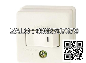 Công tắc B 1 chiều loại nổi Panasonic WSG3001