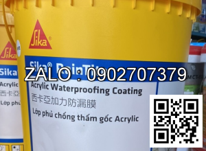 Sika Raintile - Chất chống thấm tường gốc Acrylic