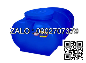 Bồn nằm Đại Thành 700L