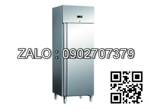 Tủ đông 1 cánh Firscool G-GN600BTV