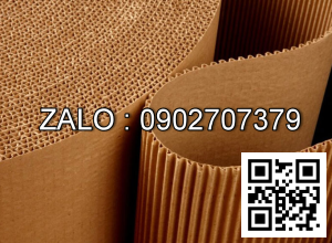 Băng tải tappi 300*10( 4 lop bo) / Cái