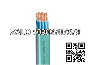 CDV cáp ĐKCN - DVV/Sc 12x1 mm