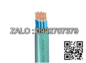 CDV cáp ĐKCN - DVV/Sc 12x2,5 mm
