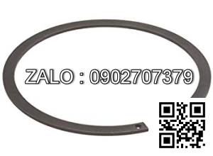 Phe Gài Trục DIN471