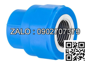 Nối phi 42 ren trong