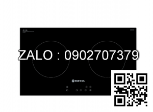 Bếp điện từ đôi Sơn Hà SHK-8121