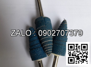 Nhám Cây, Nhám Trụ - Cây Nhám Trụ