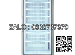 Tủ đông trưng bày Carrier CSR-500FDL2T