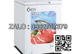 TỦ ĐÔNG IXOR IXR-2918DG