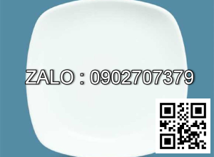 Đĩa 8 ảo CV (Kiện 60 cái)