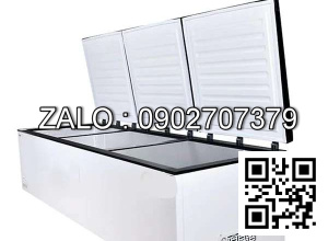 Tủ đông nằm ngang BD-70-1