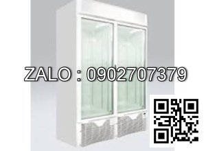 Tủ Đông Cánh Kính The Cool EXPO 500 NV