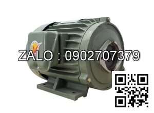 Motor dầu thủy lực cốt trơn 900x250x10