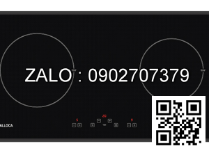 BẾP TỪ MALLOCA MH-02I D